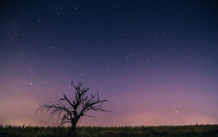 Когда наблюдать самый яркий звездопад года. Фото pixabay