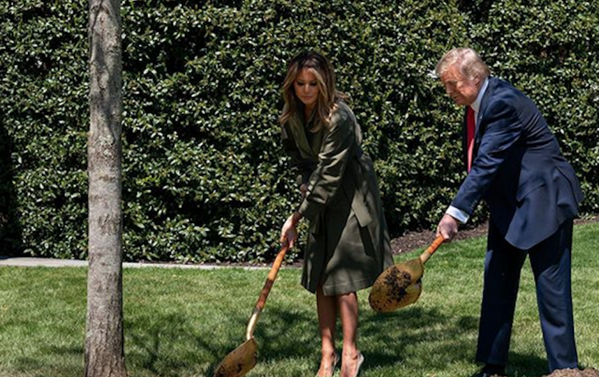 Мелания Трамп в стильном тренче и на каблуках посадила дерево