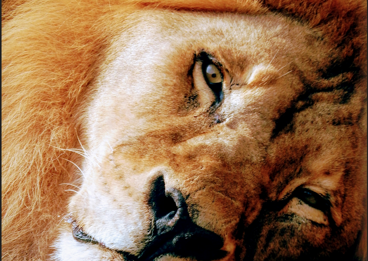 Фото: Марат Камалевски (Казань).