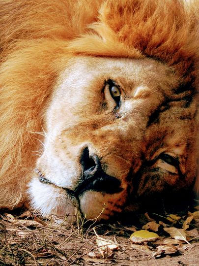 Фото: Марат Камалевски (Казань).