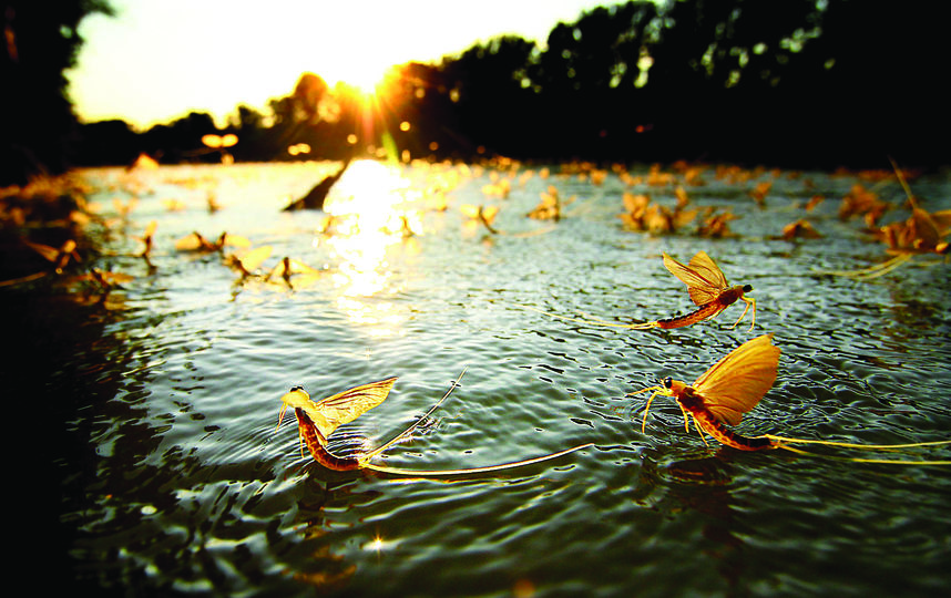 Metro Photo Challenge: покажи на фото красоту своей страны и выиграй поездку мечты