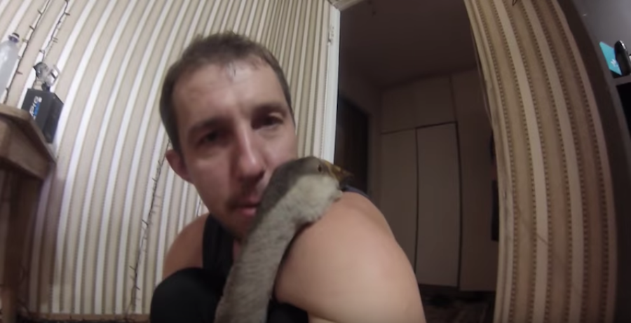 Будни Андрея и Харвистера. Фото Скриншот Youtube/watch?v=RtdXkybg5co