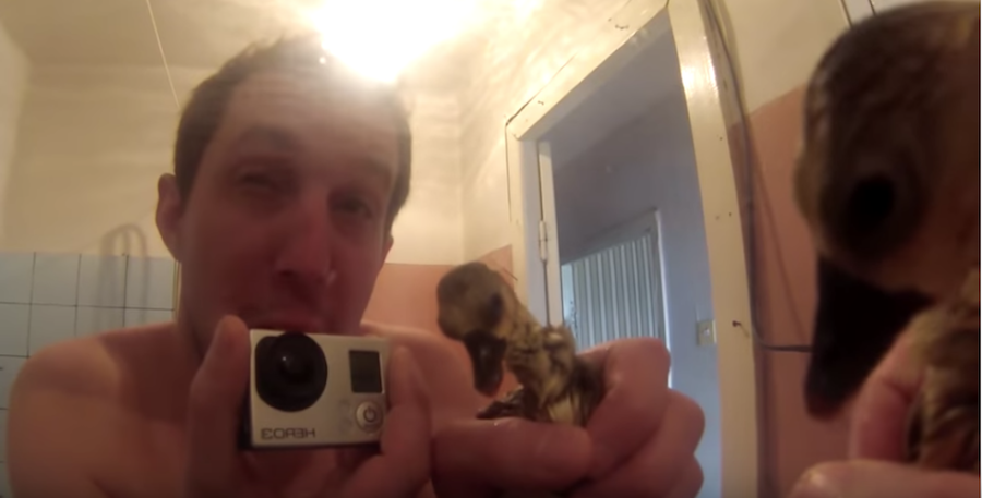 Будни Андрея и Харвистера. Фото Скриншот Youtube/watch?v=RtdXkybg5co