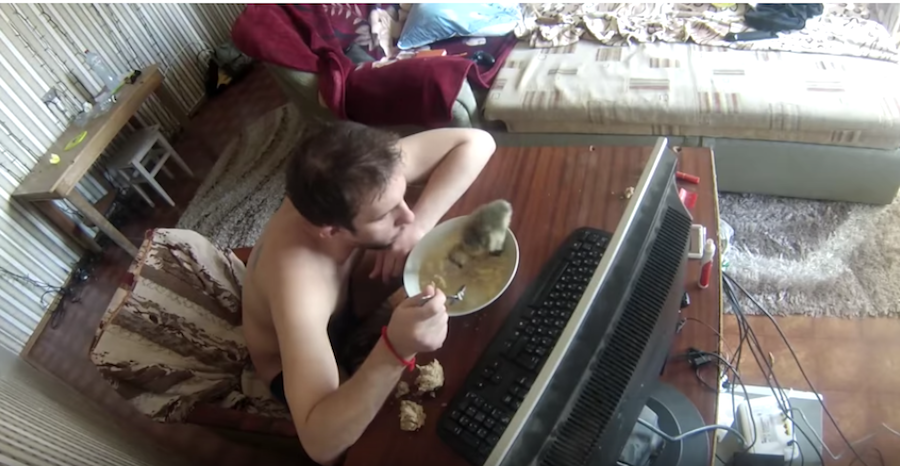 Будни Андрея и Харвистера. Фото Скриншот Youtube/watch?v=RtdXkybg5co