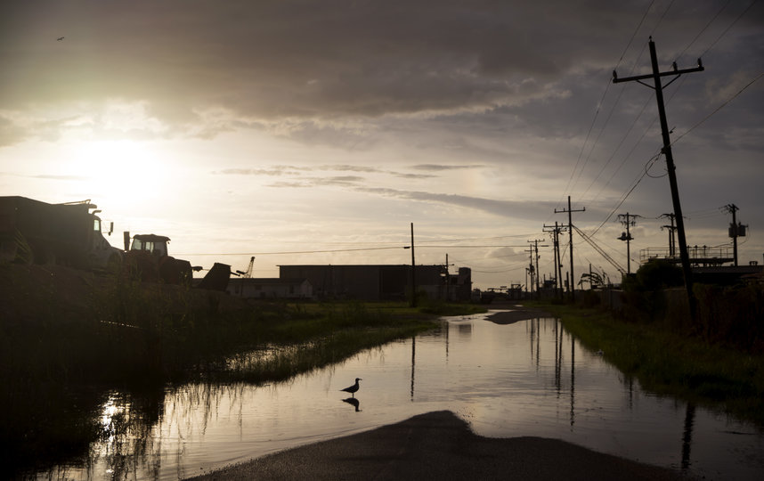 Лаура" является одним из самых сильных ураганов, когда-либо поражавших побережье Мексиканского залива США. Фото AFP