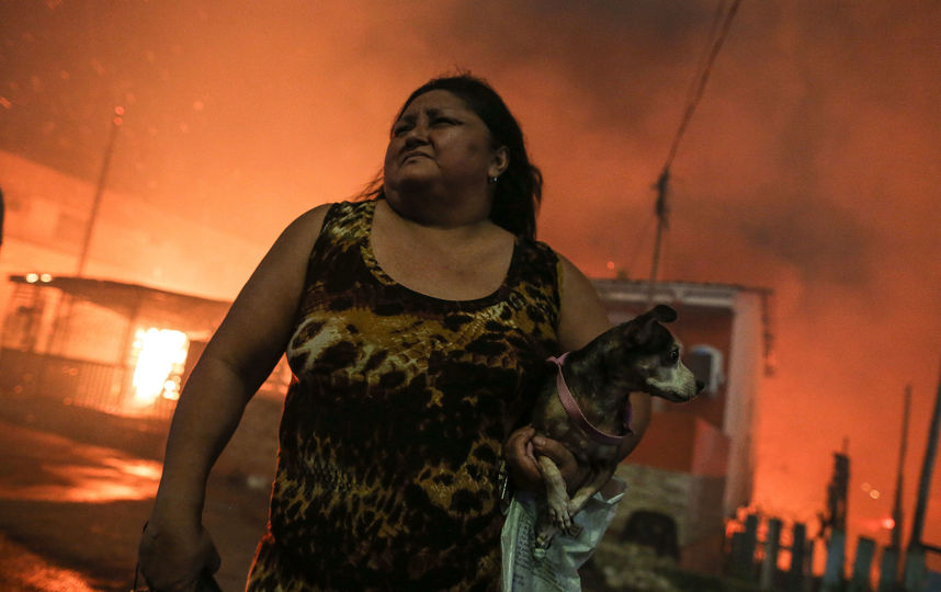 Около 600 домов уничтожено в результате пожара. Фото AFP