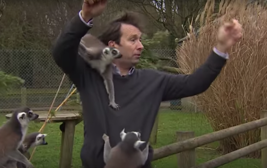 Скриншот из видео. Фото BBC News, Скриншот Youtube