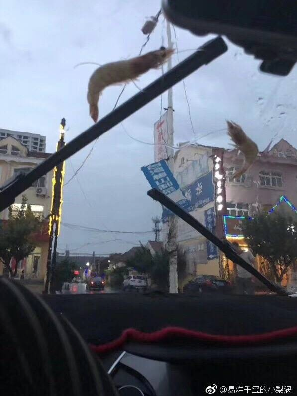 Скриншот twitter.