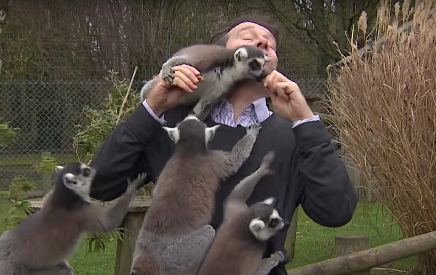 Скриншот из видео. Фото BBC News, Скриншот Youtube