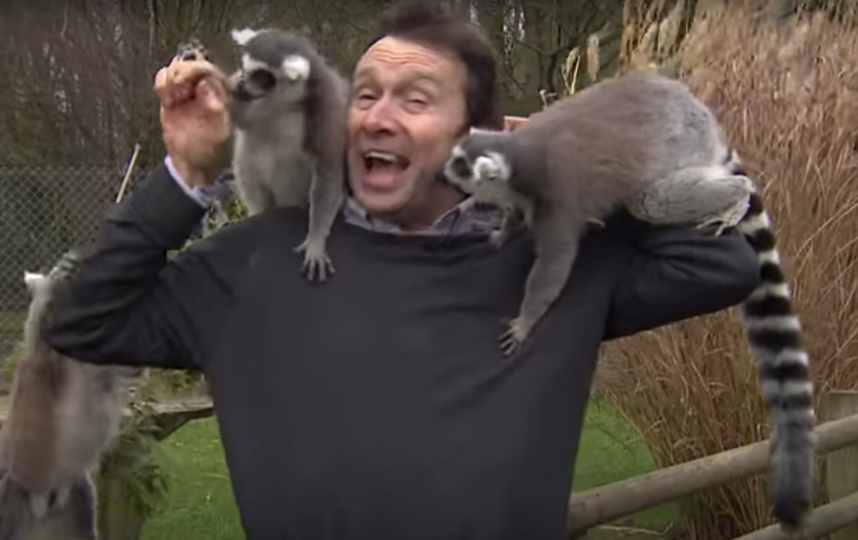 Скриншот из видео. Фото BBC News, Скриншот Youtube