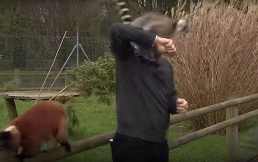 Скриншот из видео. Фото BBC News, Скриншот Youtube