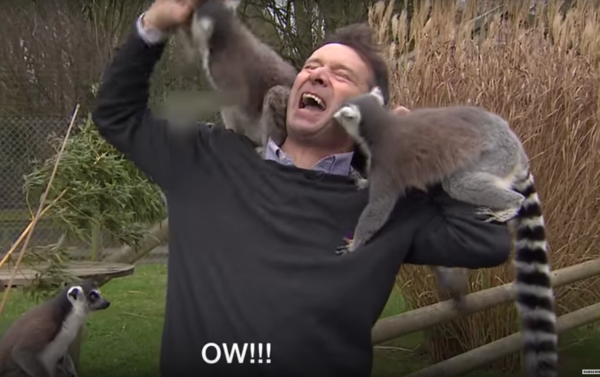 Скриншот из видео. Фото BBC News, Скриншот Youtube