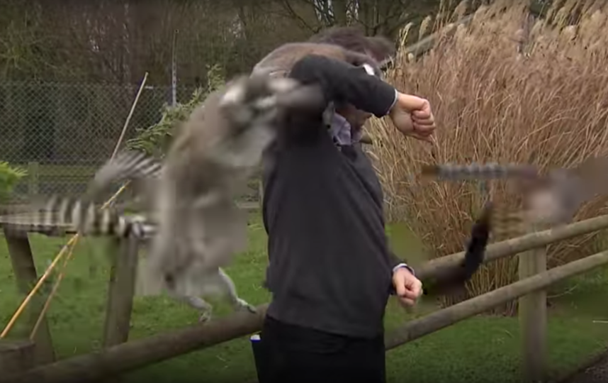 Скриншот из видео. Фото BBC News, Скриншот Youtube