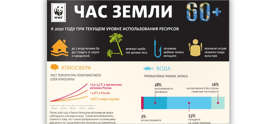 Инфографика. Фото WWF