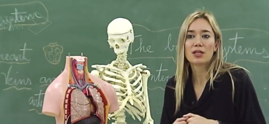 Учительница из Испании Вероника Дуке нашла креативный способ объяснить школьникам анатомию человека. Фото скриншот Twitter @silvinillaa.