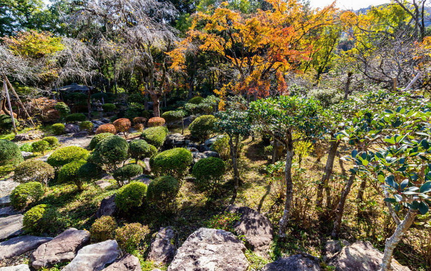 Япония. Фото Getty