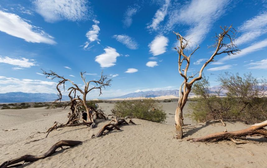 Названы самые жаркие места в мире
