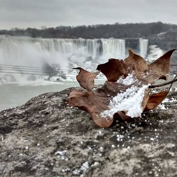 Ледяными видами восхищаются пользователи в Сети. Фото Скриншот instagram.com/jospablos/