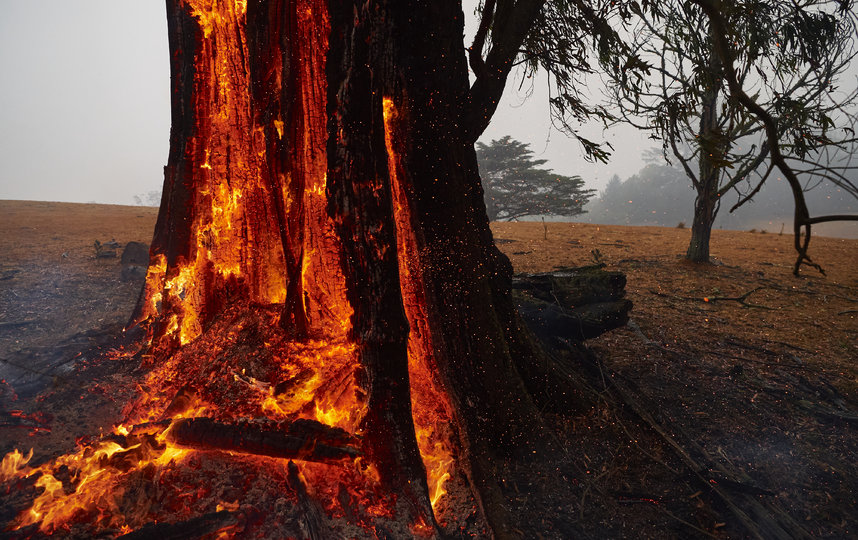 В Австралии продолжается борьба с масштабными пожарами. Фото Getty