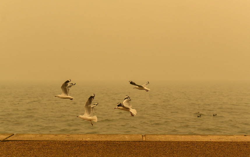 В Австралии продолжается борьба с масштабными пожарами. Фото Getty