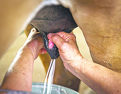 Еда. Фото Getty