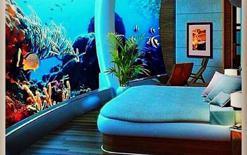 The Poseidon Underwater Resort. Фото скриншот @shaylavee1