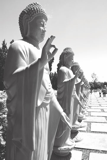 Андре Магс.