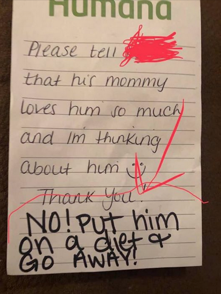 Ответ из детского садика шокировал Франческу Исдон. Фото скриншот https://www.facebook.com/francesca.easdon.7