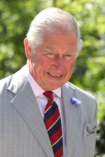 Принц Чарльз. Фото Getty