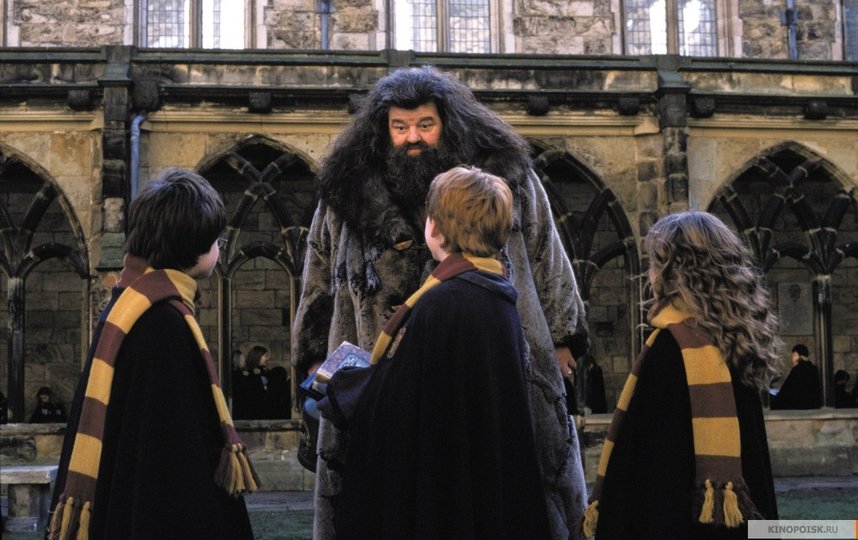 Кадр из фильма "Гарри Поттер и тайная комната". Фото "Каро-Премьер", kinopoisk.ru