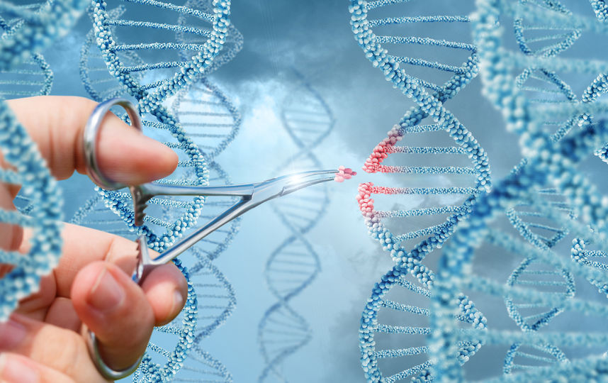 Генная инженерия. Фото ISTOCK