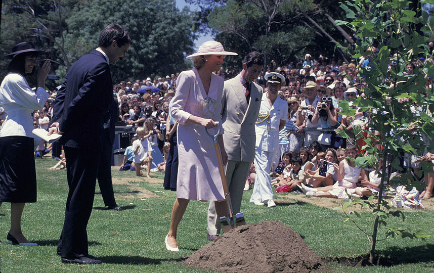 Принцесса Диана. Фото Getty