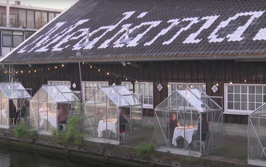 Новая концепция в переводе означает "отдельные теплицы". Фото Видео The Telegraph., Скриншот Youtube