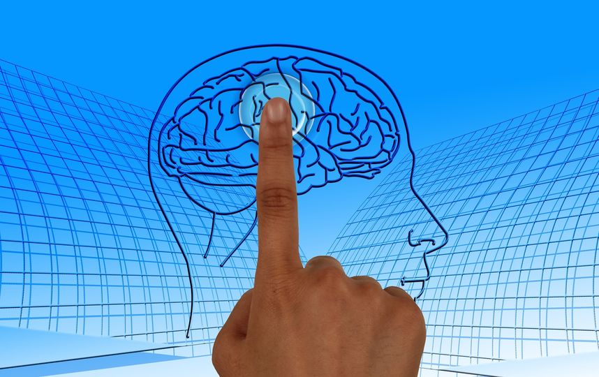 Улучшить работу мозга поможет приложение