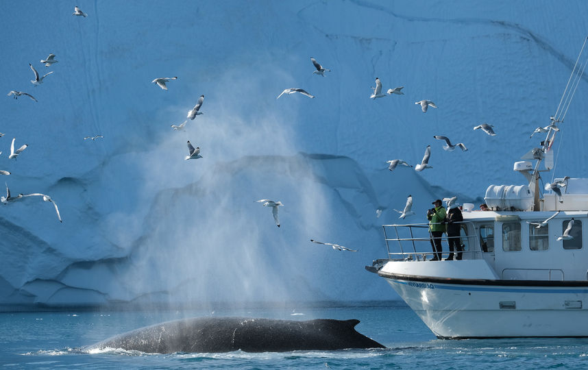 Гренландия. Фото Getty