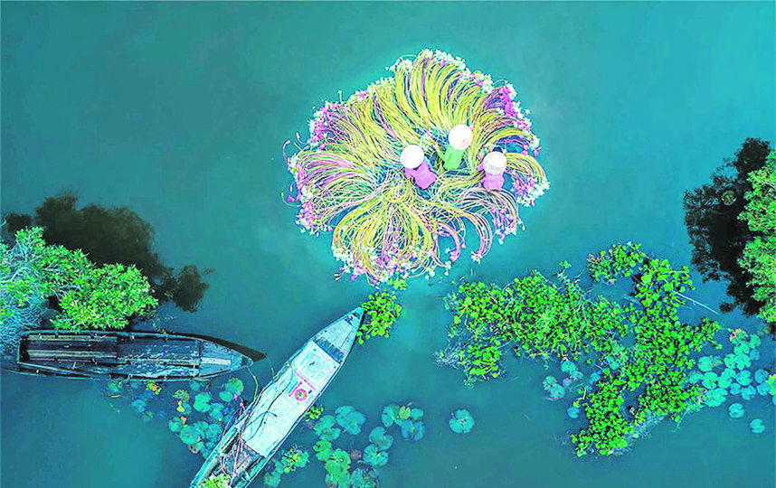 «Цветы на воде». Фото Drone Awards