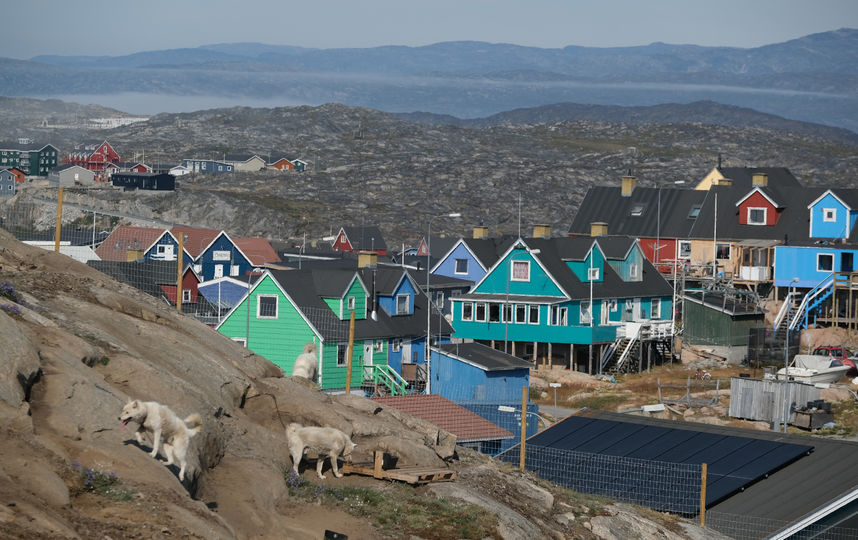 СМИ узнали об идее Трампа купить Гренландию
