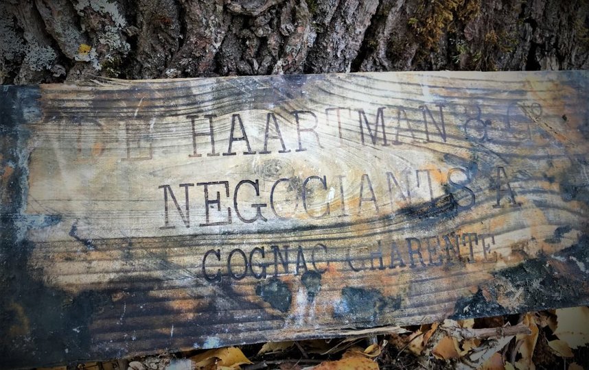 Шведские дайверы подняли со дна Балтийского моря 900 старинных бутылок редкого французского коньяка и ликера. Фото Emil Marczak