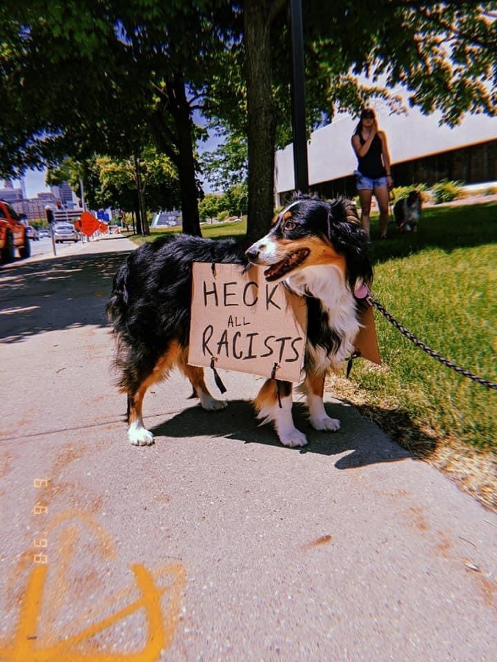 "К чёрту расистов". Фото Twitter, пользователь Jasmine Rice