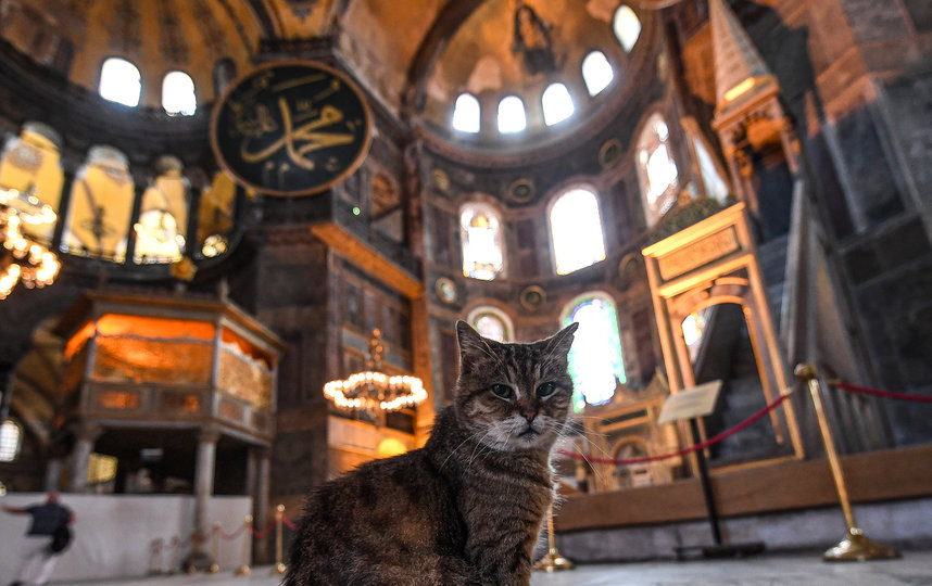 Одновременно со сменой статуса музея также отменяется плата за вход в Айя-Софию. Фото AFP