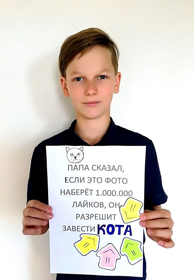 Родители автора вирусного поста в Facebook рассказали, купят ли они ему кота за миллион "лайков"