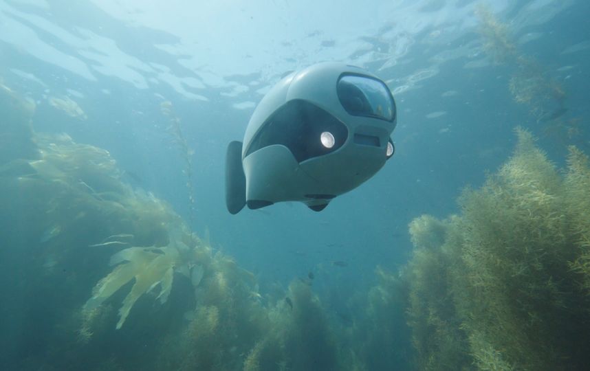 Робот BIKI позволит проникнуть в подводный мир