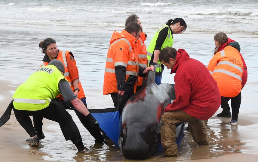 По приблизительным оценкам, спасательная операция продлится несколько дней. Фото AFP