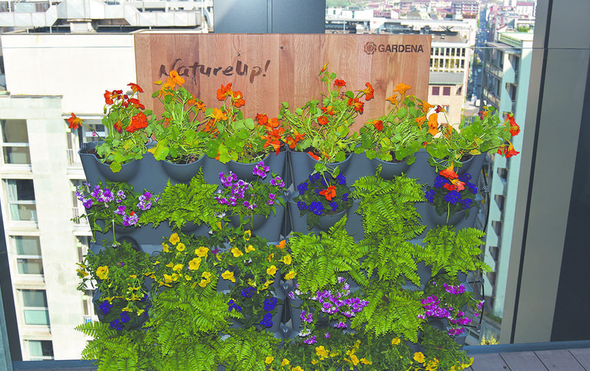 Чем больше цветов вы посадите, тем ярче будет композиция. Фото GARDENA