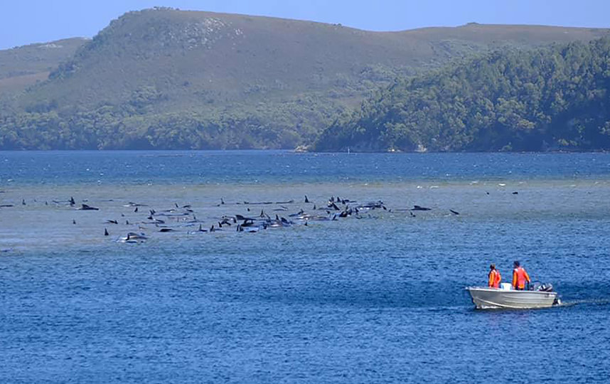 По приблизительным оценкам, спасательная операция продлится несколько дней. Фото AFP
