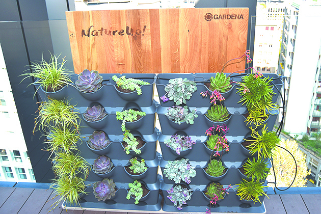 Не любите цветы, тогда вы можете посадить ароматные травы. Фото GARDENA