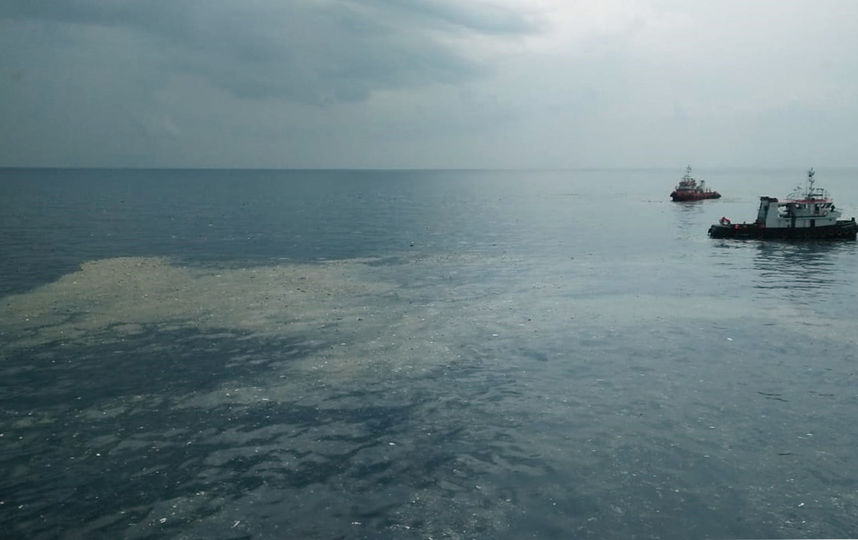 Обломки разбившегося Boeing 737 MAX авиакомпании Lion Air. Фото AFP