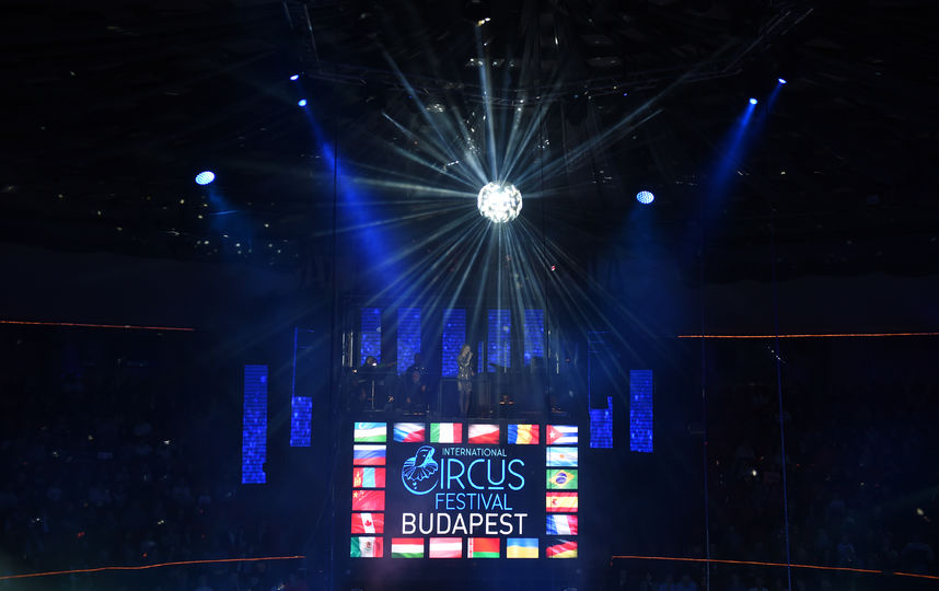 Международный цирковой фестиваль. Фото AFP