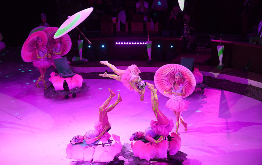 Международный цирковой фестиваль. Фото AFP