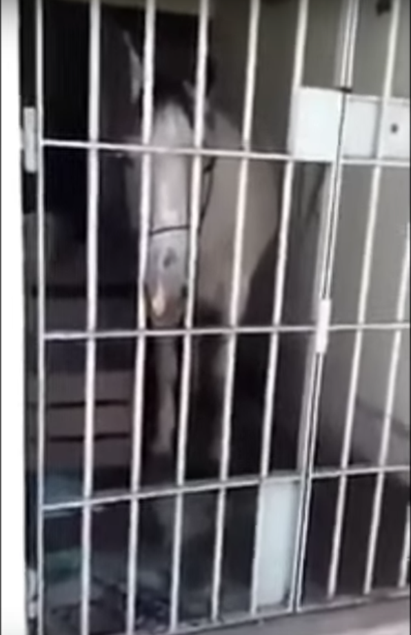 Скриншот youtube.com/watch?time_continue=31&v=Sa64n_OvFrY.